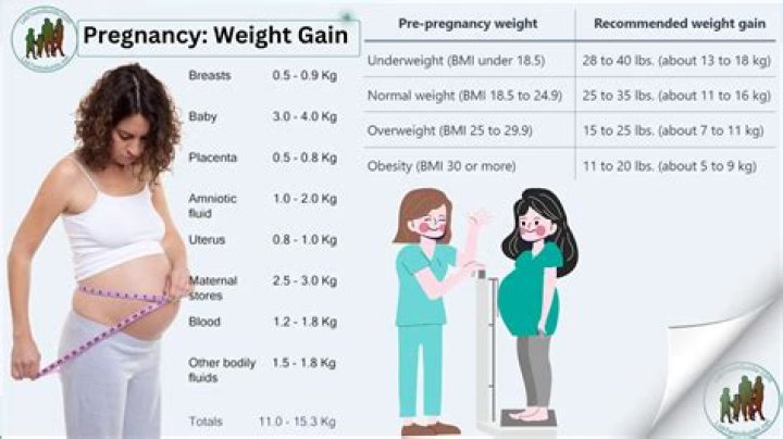 Annie Murphy Weight Gain – Is Actress Pregnant?