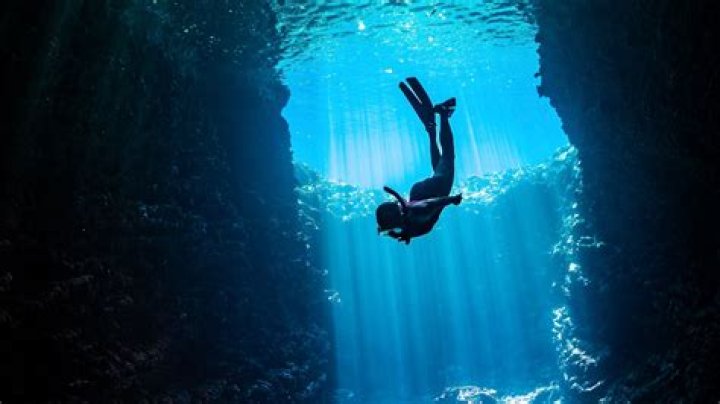 Exploring The World Of Muvirulz: A Deep Dive Into Entertainment