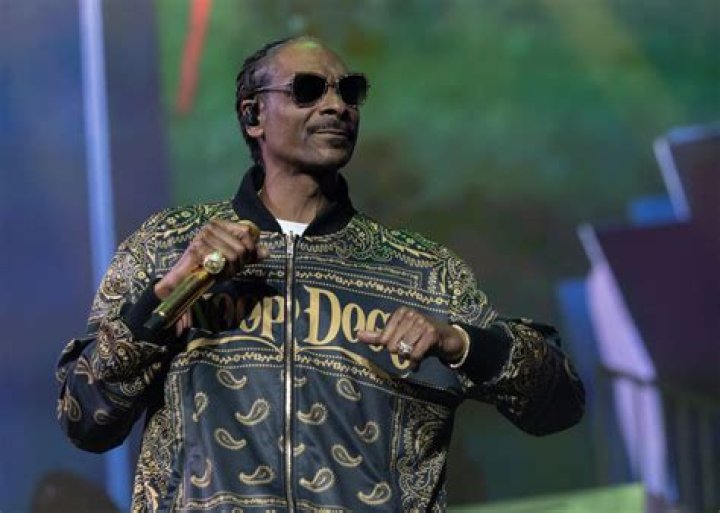 Snoop Dogg's Criminal Record: A Look Into The Life Of A Hip-Hop Icon